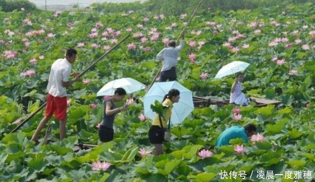 湖中|这里是运河四大古镇之一，置身湖中却少有游客，你去过吗