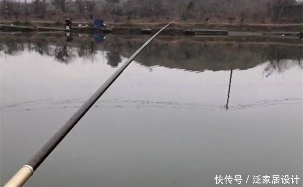 试试|春钓大板鲫,可以试试蘸饵钓,春季野钓狠招数