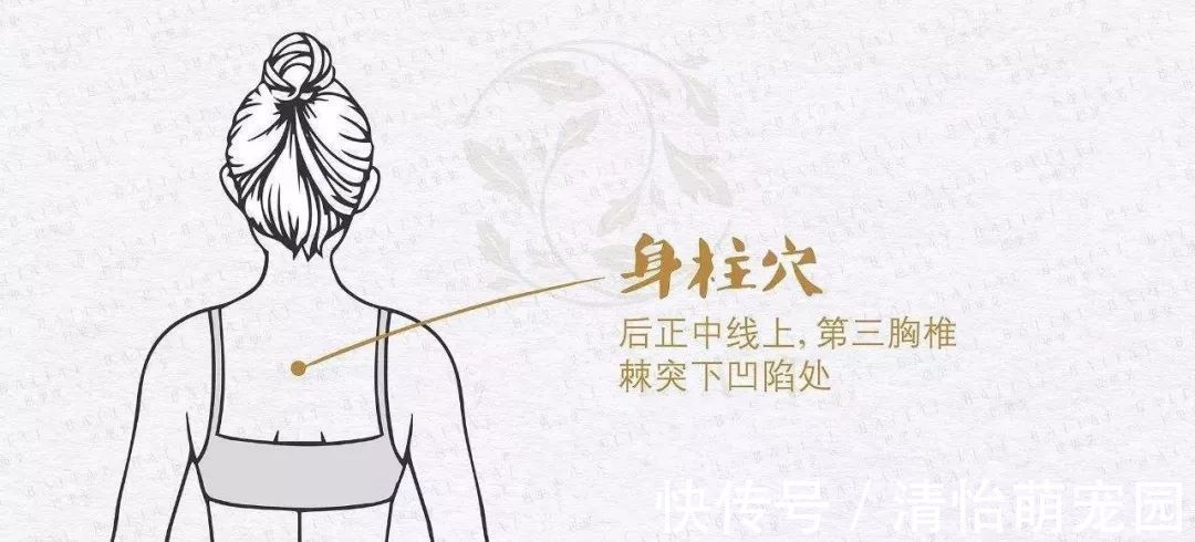 阳气|夏天开背,人活百岁!教你5个保养后背实用方法,身体健康不遭罪