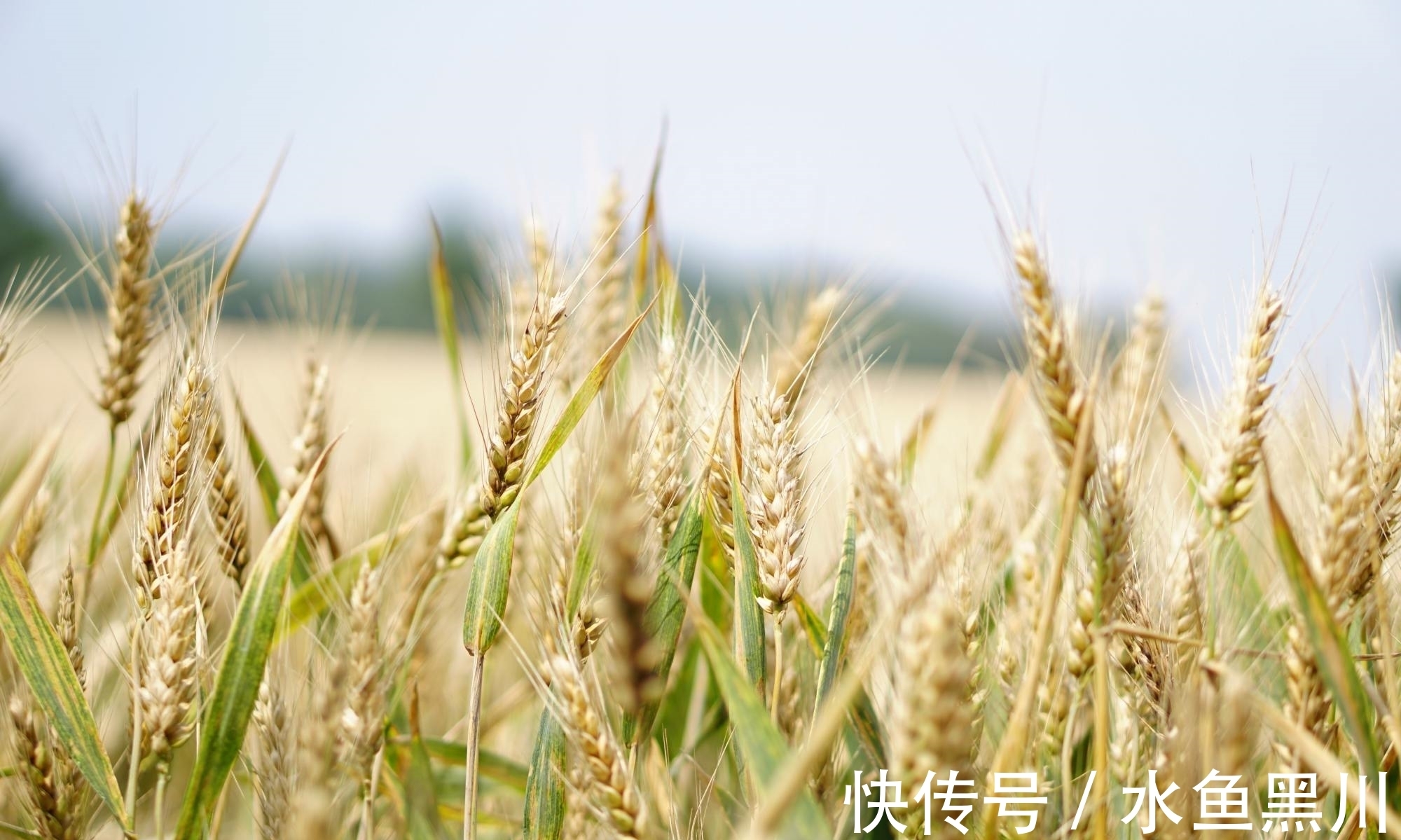 马谡#10句流传很广的民俗谚语，句句大白话，却讲出基本的为人处世道理