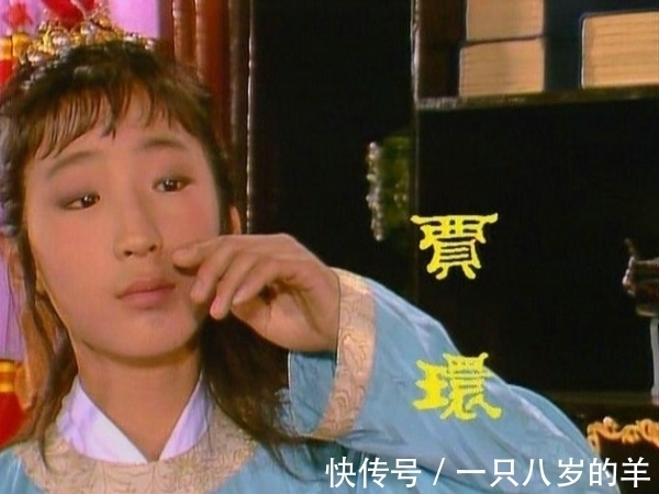 王夫人!读《红楼梦》:彩霞虽美,不过日薄西山