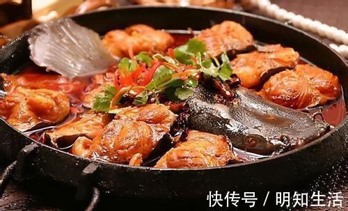 胡子鱼|被人“误解最深”的一条鱼,营养比甲鱼还高,4元一斤,却没人要