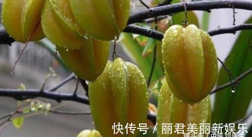 排毒|女人爱美适合常吃3种食物,排毒养颜,延缓衰老,肌肤更水嫩