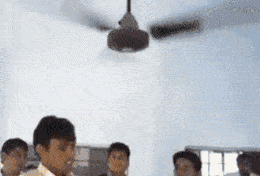 |搞笑GIF:凉皮加凉面,据说吃起来很爽的感觉