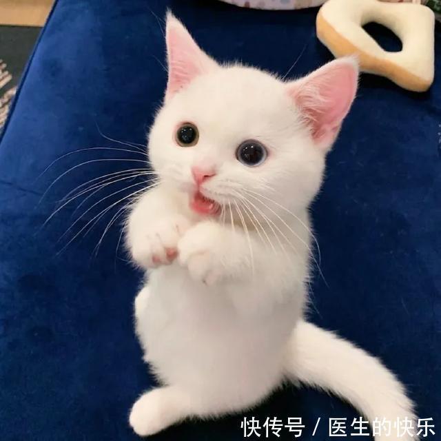 |「被窝段子20210727」生活没有低谷,只有蓄势待发