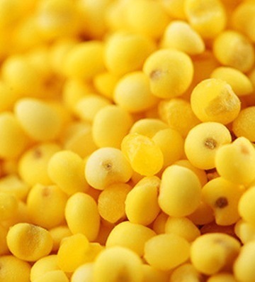 甜菜叶|女人想皮肤好,4种食物要多吃,滋阴补阴,祛皱淡斑,增强免疫力