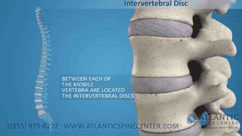 胸椎|有多少人年纪轻轻就“脊”病缠身？