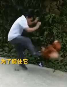 |搞笑GIF：霸气了我的姐 这辈子见过最拉风的走路姿势