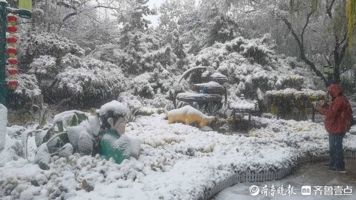 趵突泉|初雪降临泉城！趵突泉雪景大片美爆啦