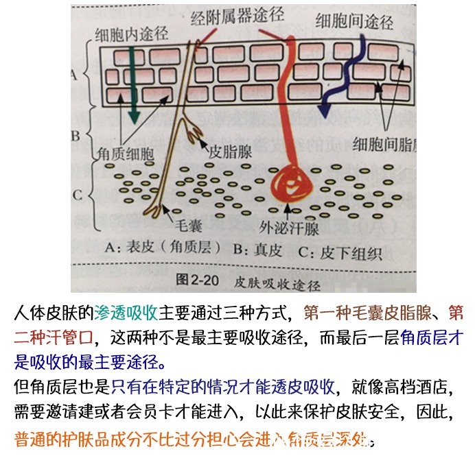 面膜|618 孕妇公认好用必囤的护肤品清单丨不想买错踩雷，看这篇就够了