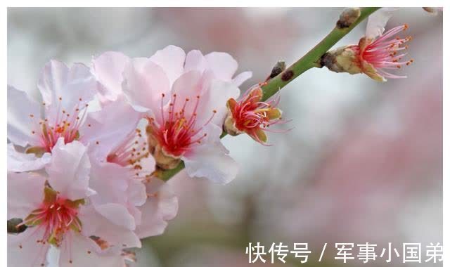 春天#描写春天比喻的句子,收藏起来给孩子写作文参考