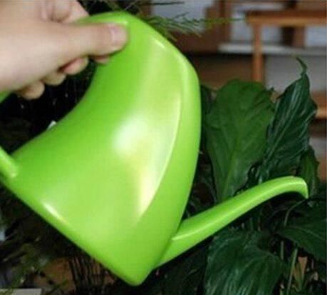 什么淘米水、洗菜水都不如这种水,它才是养花万能水,养啥旺啥