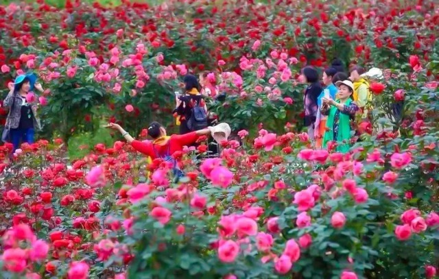 兵马俑|东方快讯：喜迎国庆，欢乐假期，相约古名天下旅游景区第二届华夏文化旅游节！