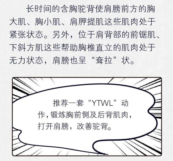 生命时报|练出好体态｜让驼背的人“支棱”起来