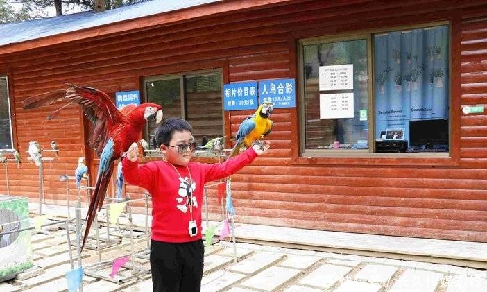 大湖|水波荡漾、承天所赐的大湖——杉木湖景区