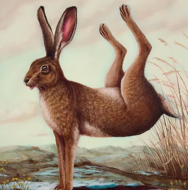 动物们&胆小谨点,插画师笔下的诡异动物看完一秒清醒!