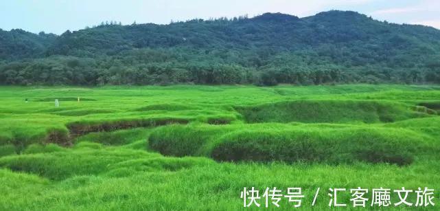 避暑胜地|重庆人私藏的避暑地，人少景美超清凉，挑一个去过22℃的夏天