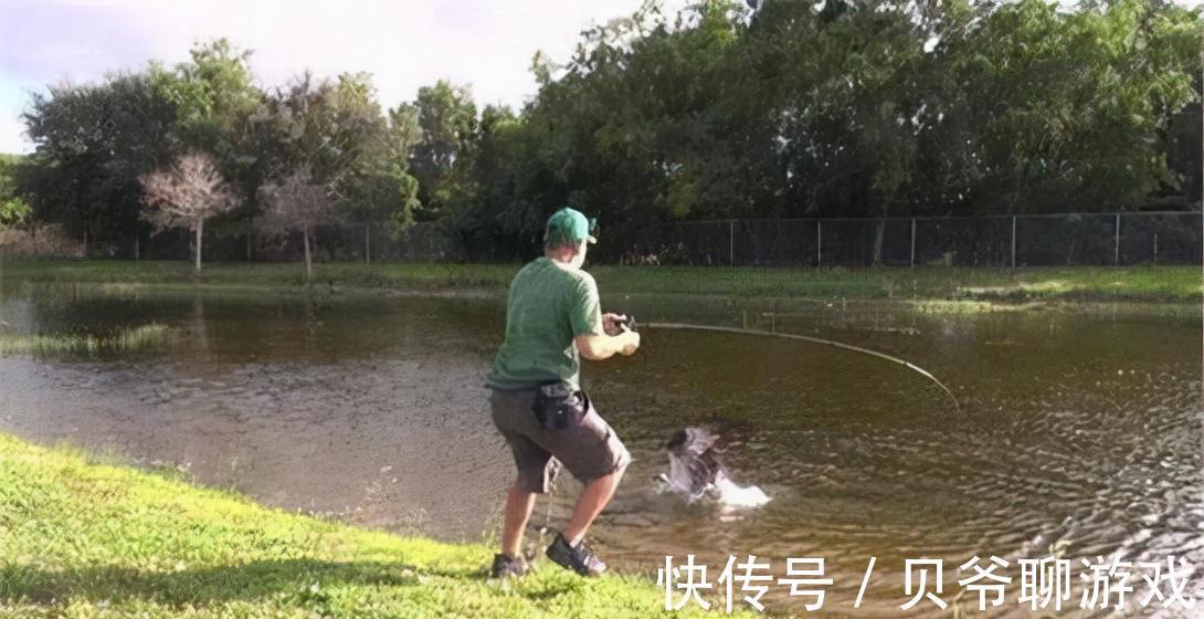 鲫鱼小于10厘米，渔获超过10条就必须放流，野钓应该怎么办