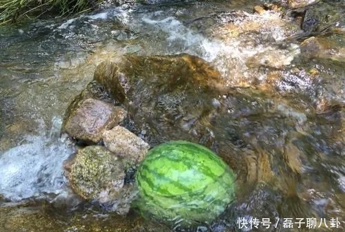 绿阴幽草|太行大峡谷如画的美景就等你来撩，峡谷漂流一票两人