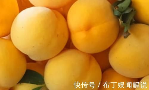 康普|夏天坚持养生，多吃点好的食物，促进消化，滋补养颜，人体不老