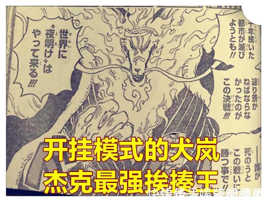 半獸人|海賊王1023話,開掛的犬嵐VS杰克半獸人形態,杰克被狠揍并流冷汗