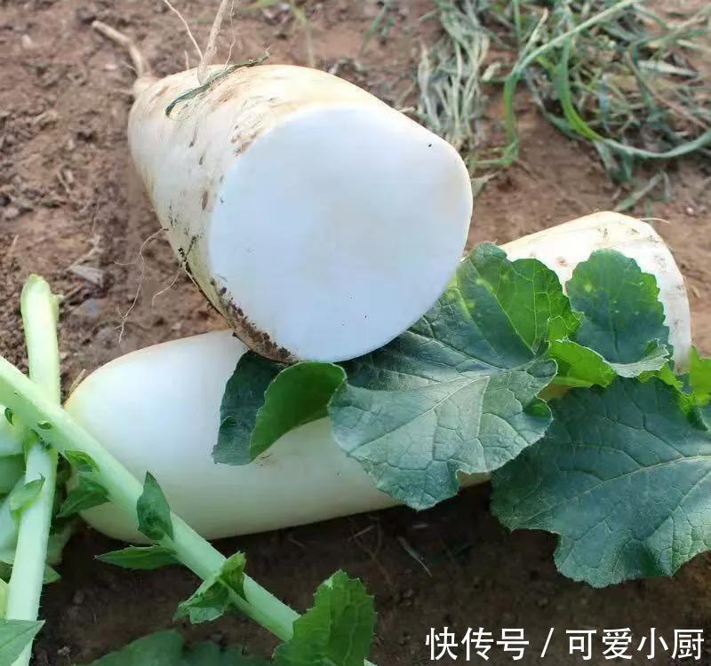冬天用什么食材煲汤好？记得试试7种菜，营养丰富，价格不高
