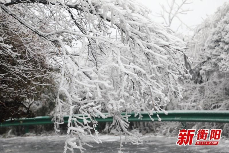 门票站点|神州最南赏雪佳处 南岳衡山绝美雾凇等你来