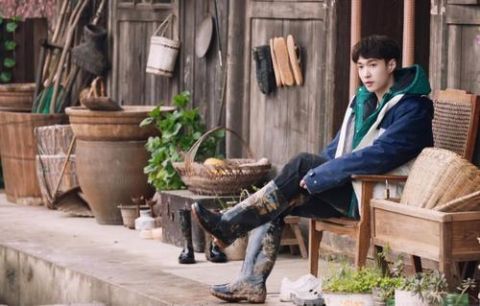 節目|本來想看王冰冰的，沒想到被節目吸了粉