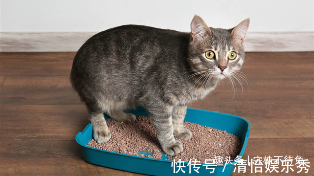 23个冷知识：虽然无处使用，但却十分有趣的奇怪知识