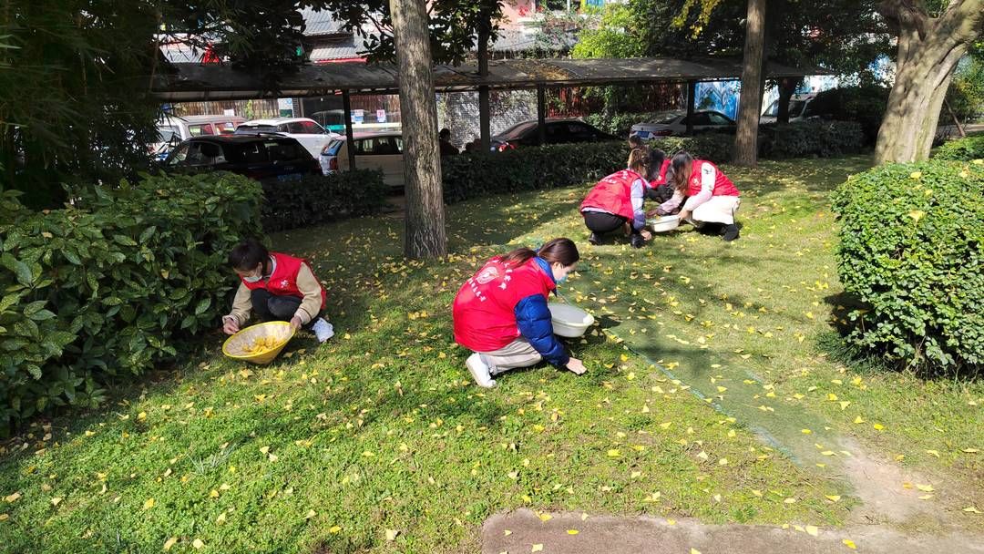 银杏|用那抹暖色温暖彼此 成都龙泉驿防疫志愿者与居民互赠“银杏礼物”