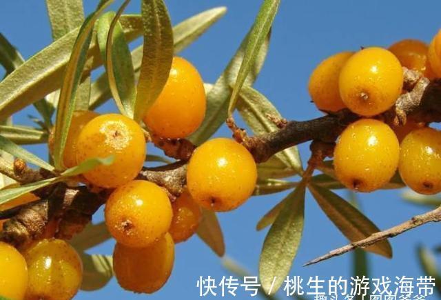 补锌|11岁女孩身高170公分,医生:3种食物是身高“助长剂”,可多食