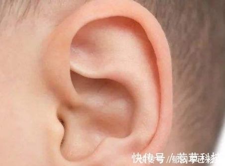 耳垂|宝宝这几个地方越大越好,老人常说的“福相”,很少有人三个全中