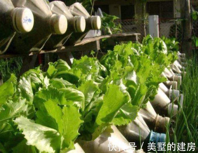 养花|于养花人而言,空油桶是什么?