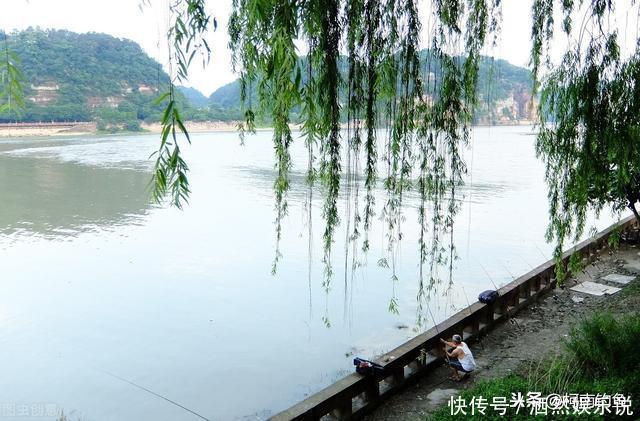 打窝真的就可以诱来鱼吗?不了解打窝的原理就是喂鱼