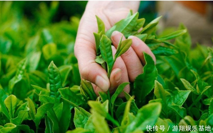 此物|感冒频发湿气重,莫慌!常用此物泡脚,祛寒湿,治感冒
