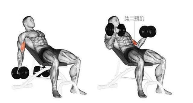 外斜肌|意大利健身博主，肌肉紧致，马甲线迷人，4个动作练同款女神身材