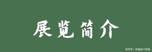 文物展|南山博物馆上新啦!《南有嘉鱼——荆州出土楚汉文物展》