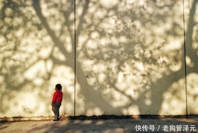 微信头像暴露了你的层次:层次越低的人,越喜欢用这些头像