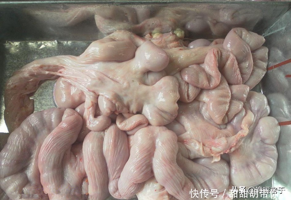 今天才知道，猪除了大小肠，还有这种“肠”，价格贼贵却十分美味