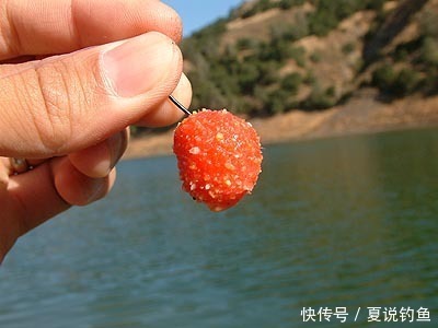 [鱼饵钓鱼技巧] 撒饵香色味散四大要点