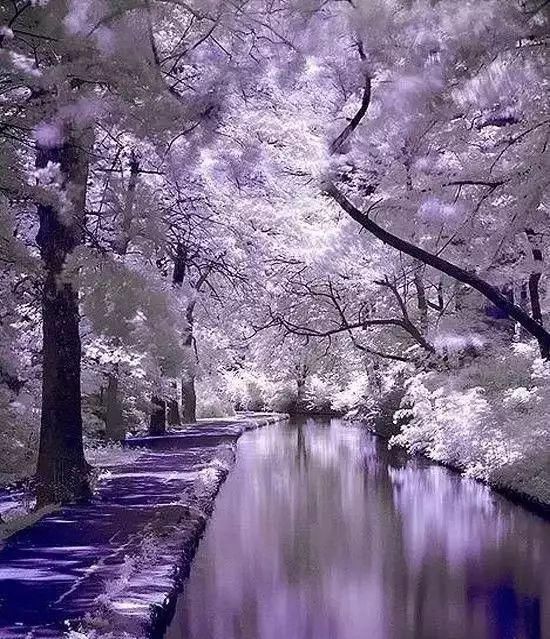 传来|太美了,世界照片今天终于传来,罕见至极,一睹为快