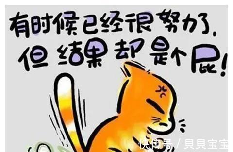 意义|白岩松:养出有生命意义的孩子,就一定要让孩子受三种苦