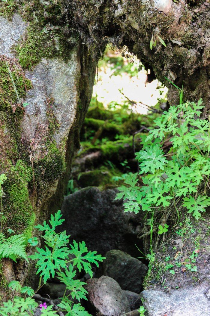 枯树滩|东方圣山，户外天堂——四姑娘山自驾徒步之旅