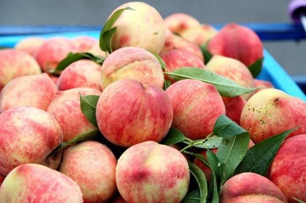 果胶|糖尿病患者不能吃“水果”大错特错!医生提醒这5种水果放心吃