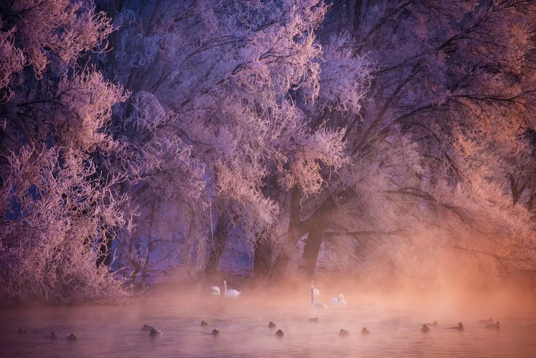 魔鬼城|新疆刚下雪，小伙伴不淡定了：原来冬天的新疆是这样的