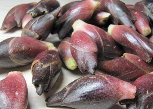 月经|女性常吃一物,不咳嗽了,月经规律了,子宫也越来越好,不妨试试