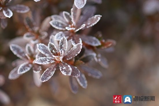 日照|娱乐、美食、休闲……日照冰雪游等你来打卡！