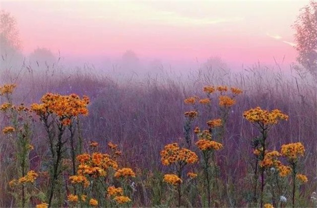 简而文！《中庸》10句话，懂得其中道理，获益良多！