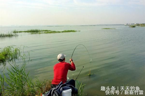水位|夏季雨后涨水,在这些位置下竿,保证连竿上鱼,狂拉到手酸