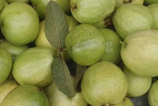 营养物质|子宫光滑的女性,都爱吃以下4物,保护子宫,50不显老